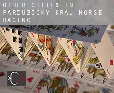 Other cities in Pardubicky kraj  horse racing
