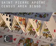 Saint-Pierre-Apôtre (census area)  bingo