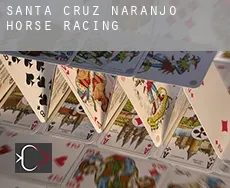 Santa Cruz Naranjo  horse racing
