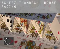 Scherzlthambach  horse racing