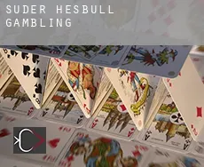 Süder Hesbüll  gambling