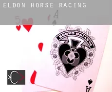 Eldon horse racing