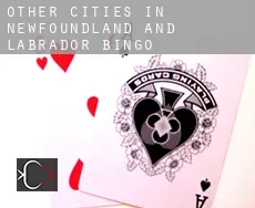 Other cities in Newfoundland and Labrador  bingo