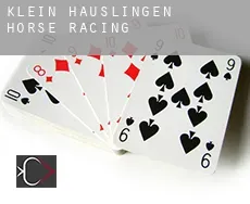 Klein Häuslingen  horse racing