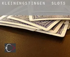 Kleinengstingen  slots