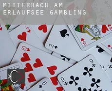 Mitterbach am Erlaufsee  gambling