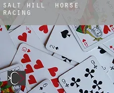 Salt Hill  horse racing