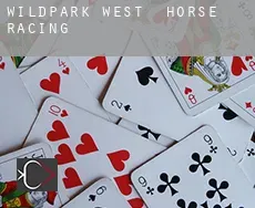 Wildpark West  horse racing