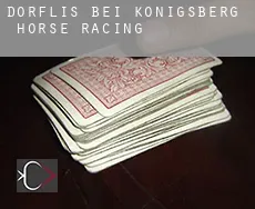 Dörflis bei Königsberg  horse racing